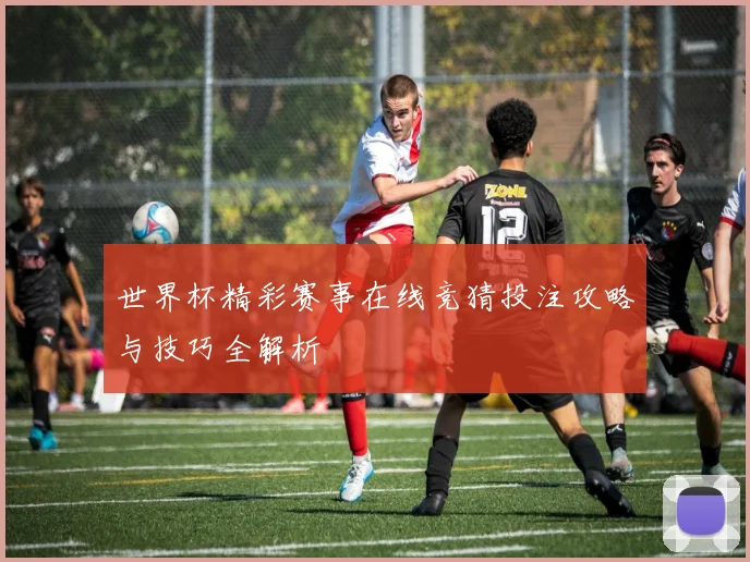 世界杯精彩赛事在线竞猜投注攻略与技巧全解析