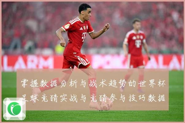 掌握数据分析与战术趋势的世界杯足球竞猜实战与竞猜参与技巧数据研判